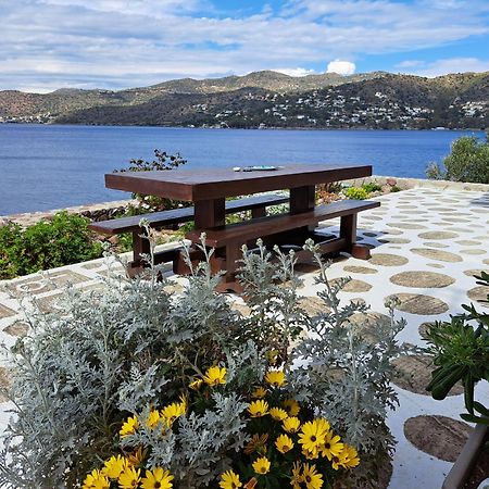 Вилла Almyra Seaside Пердика Номер фото