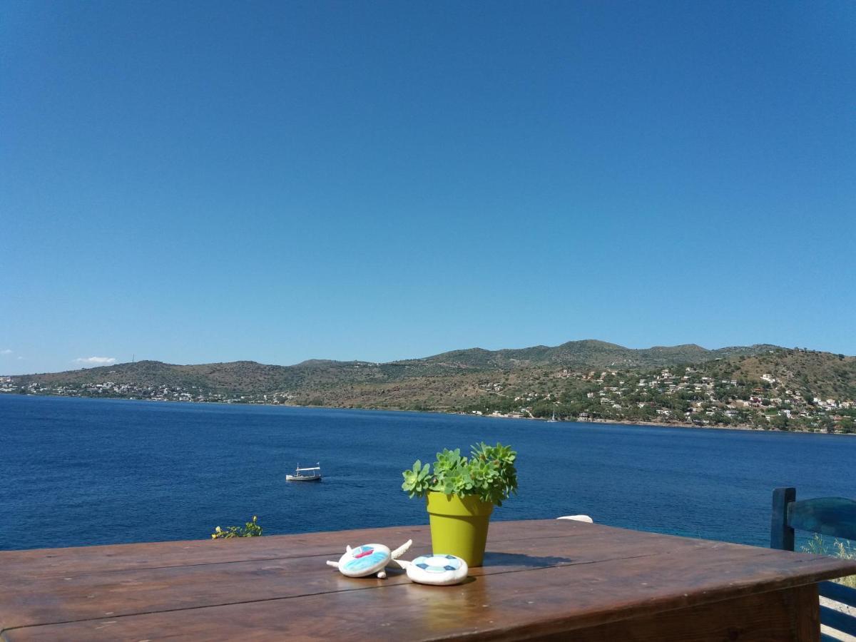 Вилла Almyra Seaside Пердика Экстерьер фото